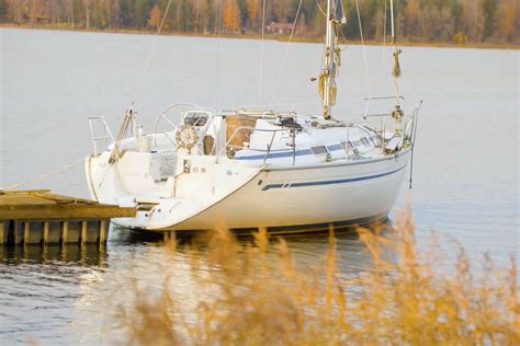  Nereis! Den strimmiga segelbåten som gömmer sig i sanden